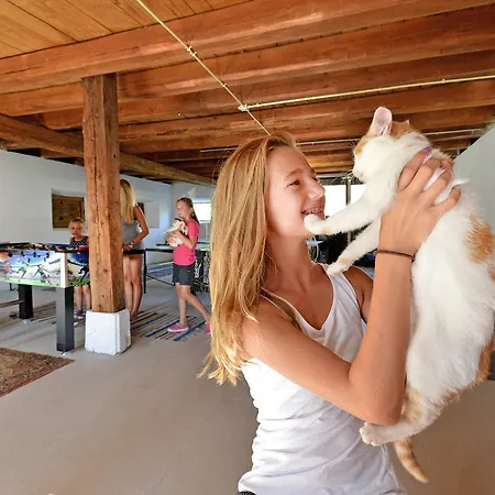 Ferienhaus Hinterebenhub Hopfgarten im Brixental Zimmer foto