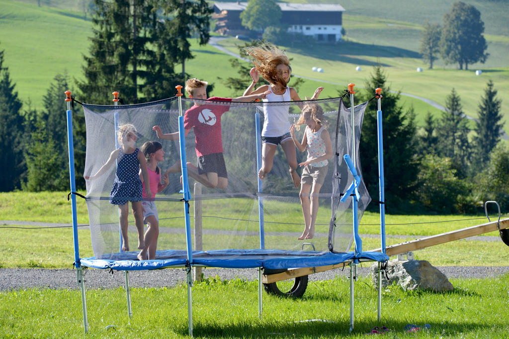 Hinterebenhub Hopfgarten im Brixental